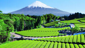日本の美しい風景の画像を貼るトピ