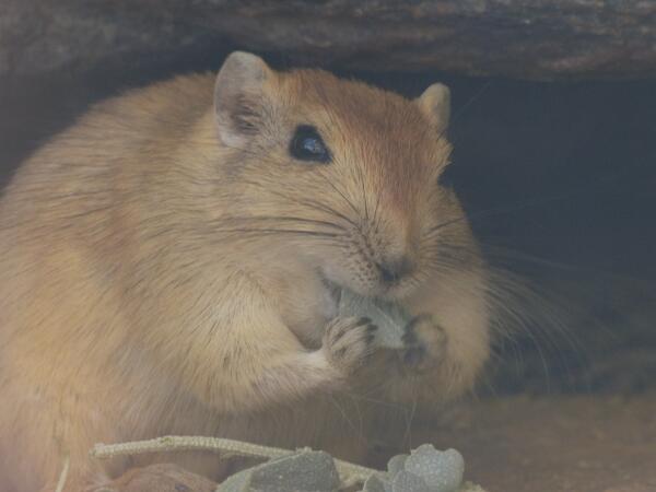 笑える名前