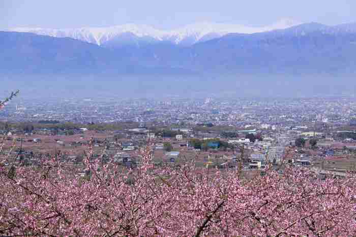 山梨県旅行のおすすめ♫