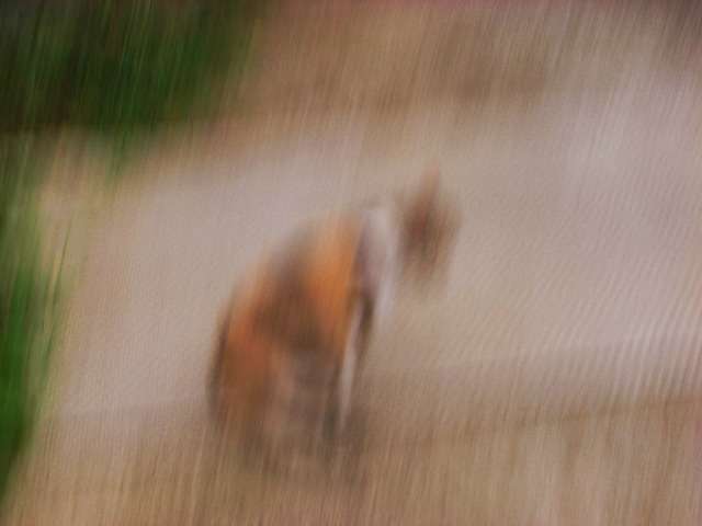 写真でボケてみよ~