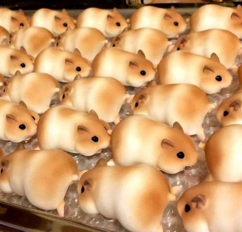本物そっくりや見間違える商品の画像を集めよう！