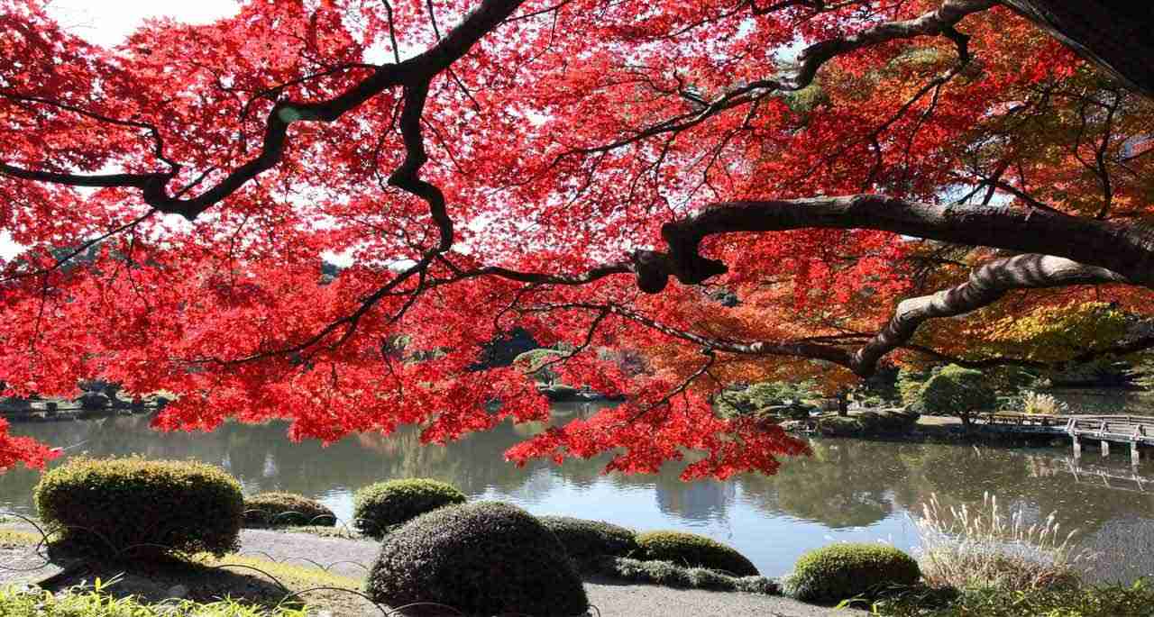 日本の美しい風景の画像を貼るトピ