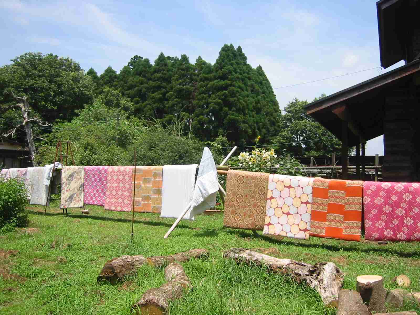 布団どこに干しますか？