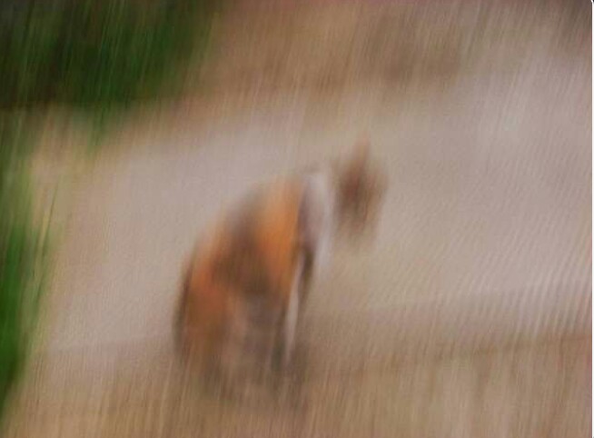 写真でボケてみよ~