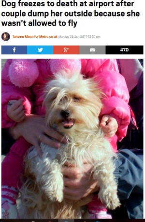 犬の搭乗を拒否された夫婦　空港の外に置き去りに凍死させる「悪魔のような夫婦」に制裁を求める署名集まる（露）