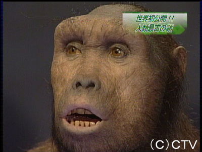 照ノ富士への「モンゴル帰れ」に広がる波紋 相撲協会の対応は?