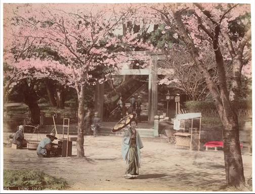 幕末～戦前の写真が見たい