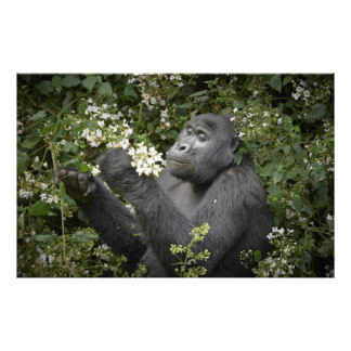 動物の色んなポーズ