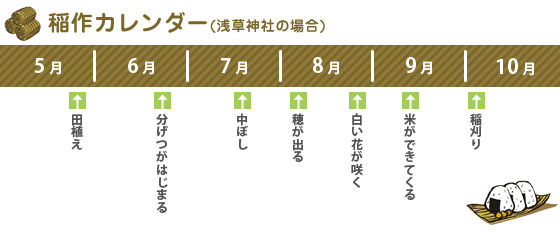 コメ16で「いちろう」さんの画像を貼るトピ
