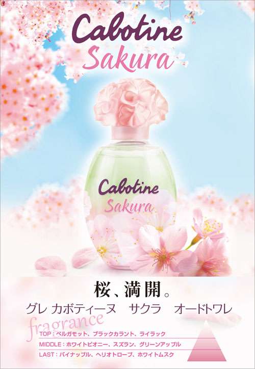 日本各地、様々な種類の桜の画像で癒されるトピ♪