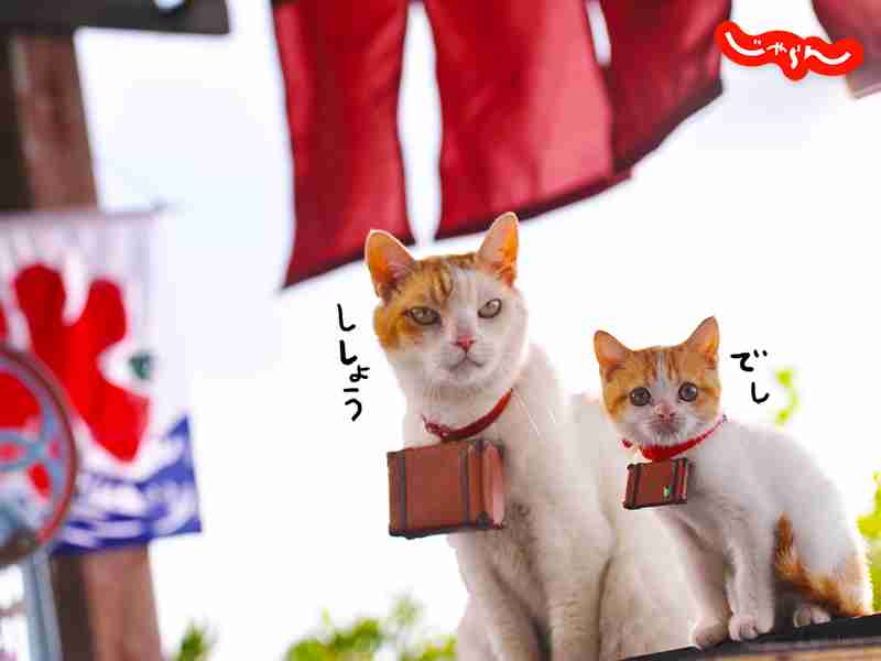 好きなCMキャラクター