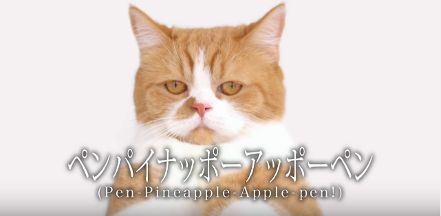 好きなCMキャラクター