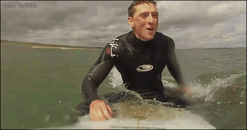 お気に入りのGIF画像を貼っていくトピ