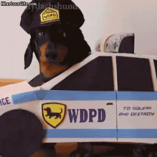 お気に入りのGIF画像を貼っていくトピ