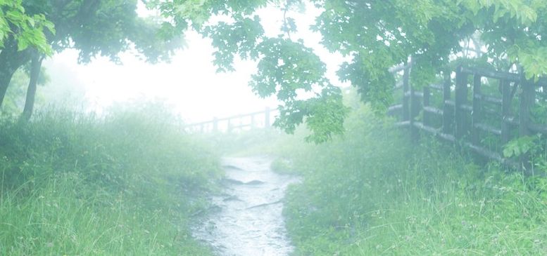 安易に身体の匂いを指摘してはいけません！信頼関係が崩壊します