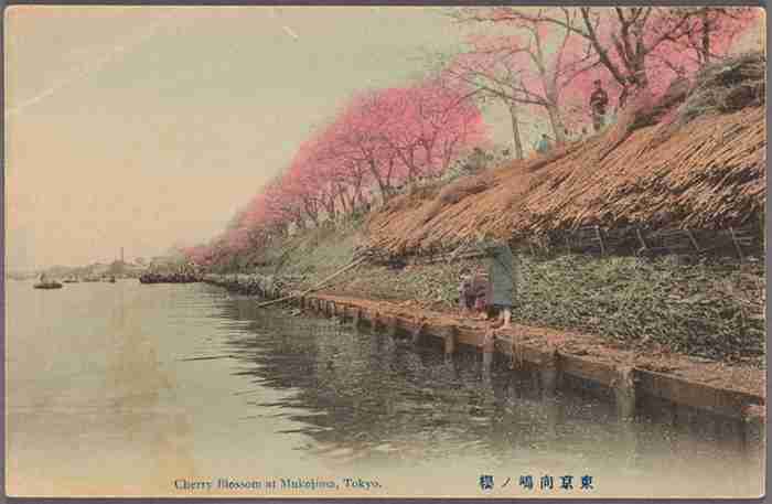 幕末～戦前の写真が見たい