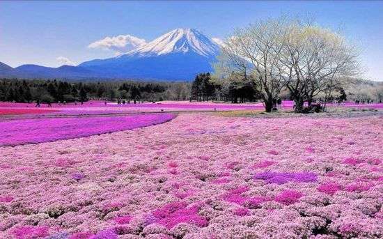 日本の美しい風景の画像を貼るトピ