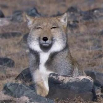 「君の名は。」累計興行収入245億円突破 5月頃に「アナ雪」超えか？ 