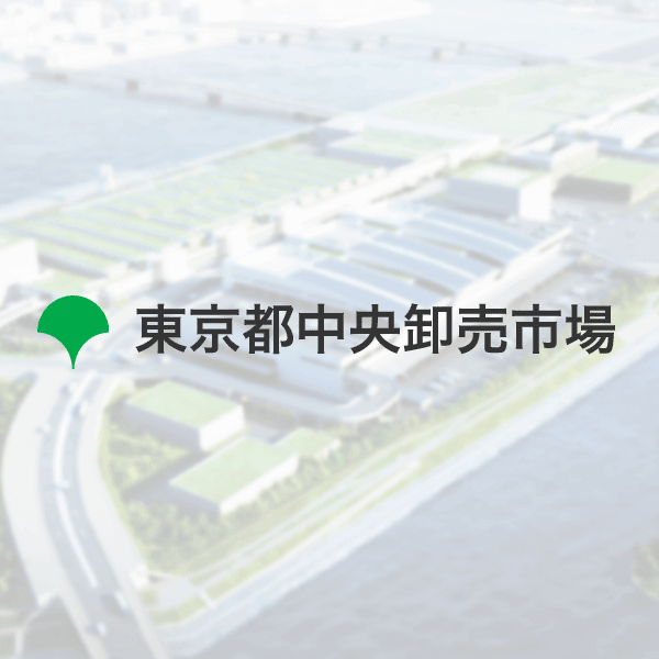 豊洲市場における土壌汚染対策等に関する専門家会議｜東京都中央卸売市場