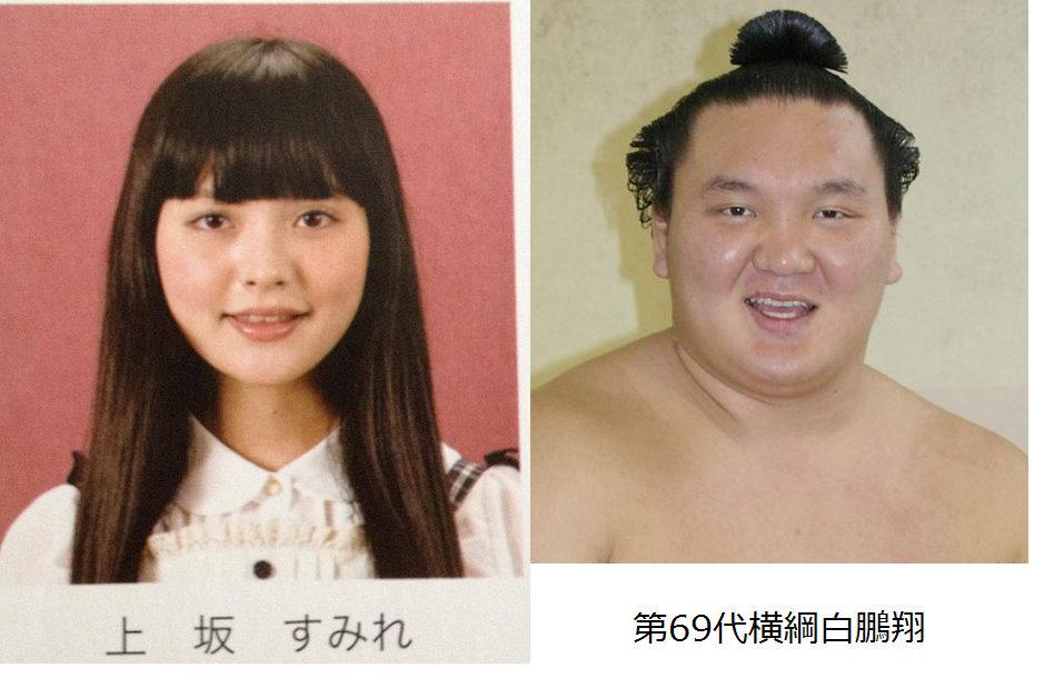 似ている２つのものを比べるトピ