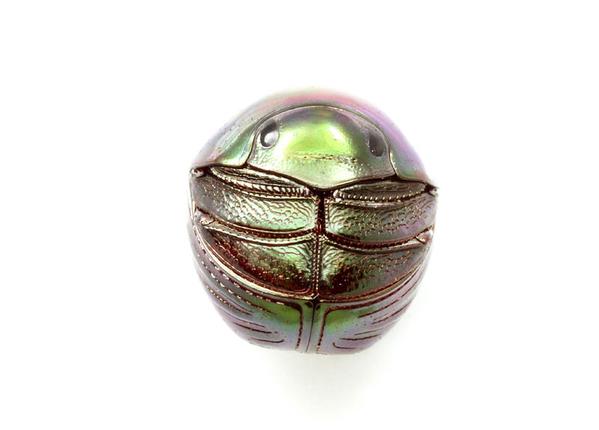 【超閲覧注意】不気味な生物の画像を貼っていくトピ【苦手な方注意】