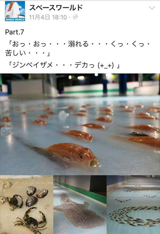 魚介類を氷詰め　津波被災の「氷の水族館」6年ぶり復活