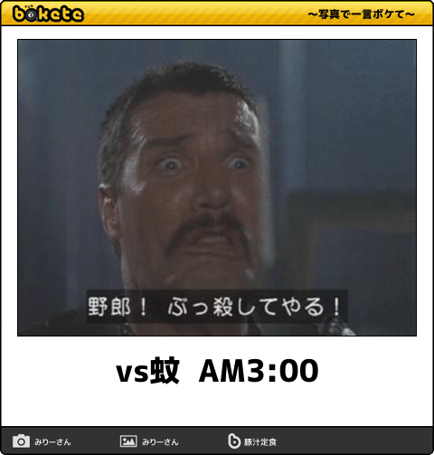 蚊に悩まされている人。