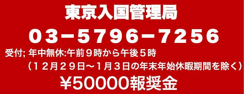 地震や災害のとき寄付や支援したことありますか？