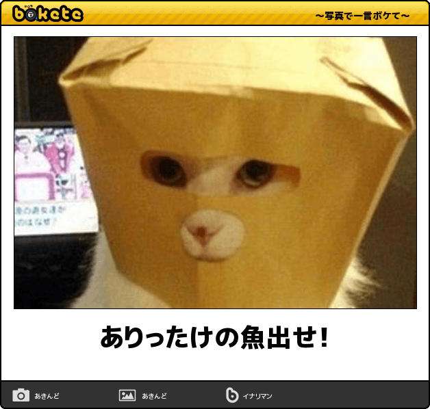 GW自宅組恒例！『ボケて祭り』