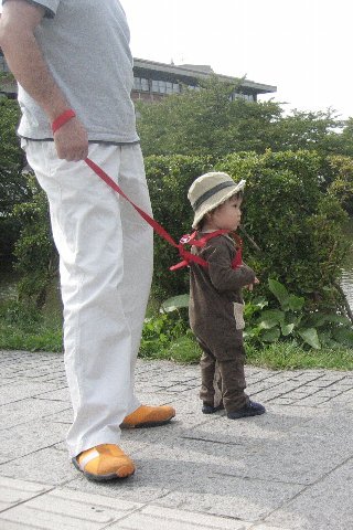 【※使ったことある方のみ限定】幼児のハーネスについて