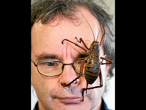 【超閲覧注意】不気味な生物の画像を貼っていくトピ【苦手な方注意】