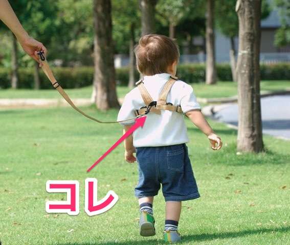 【※使ったことある方のみ限定】幼児のハーネスについて
