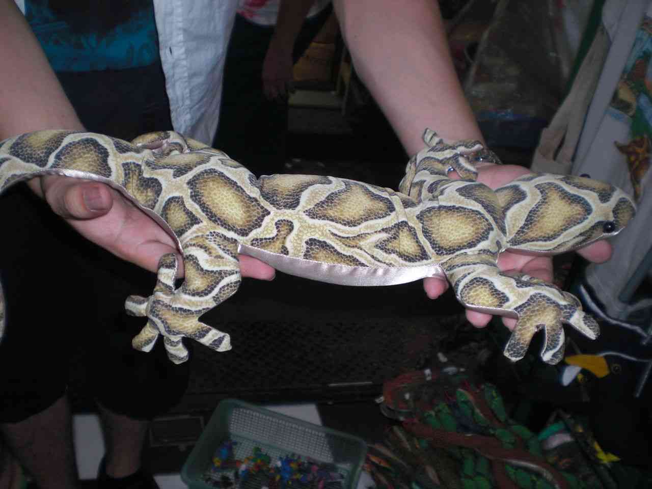 【超閲覧注意】不気味な生物の画像を貼っていくトピ【苦手な方注意】