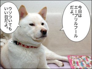 2017年企業のエイプリルフールを報告し合うトピ