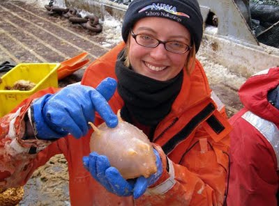 【超閲覧注意】不気味な生物の画像を貼っていくトピ【苦手な方注意】