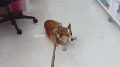 不登校だった人