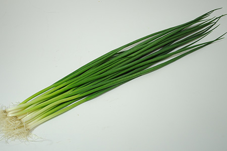 家のレギュラー野菜