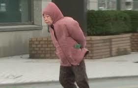 風に吹かれている画像下さい。