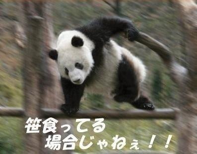 画像を貼ると誰かがいじってくれるトピ