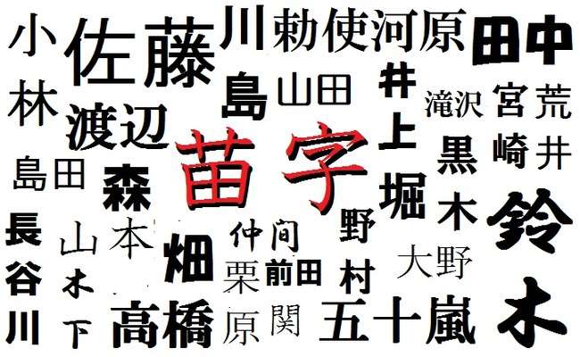 この名字の人に会ったことがあればプラス