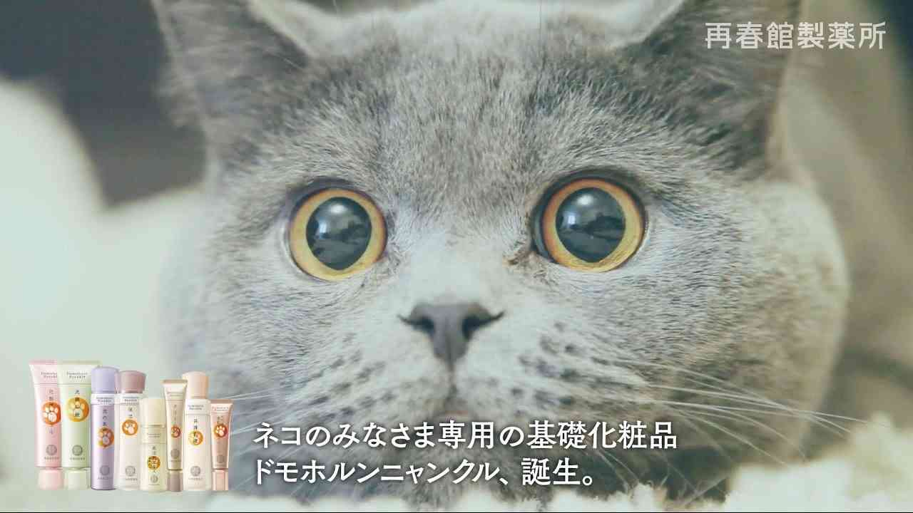 猫のために生まれたドモホルンニャンクル。Domohorn Meowkle was born for cats. - YouTube