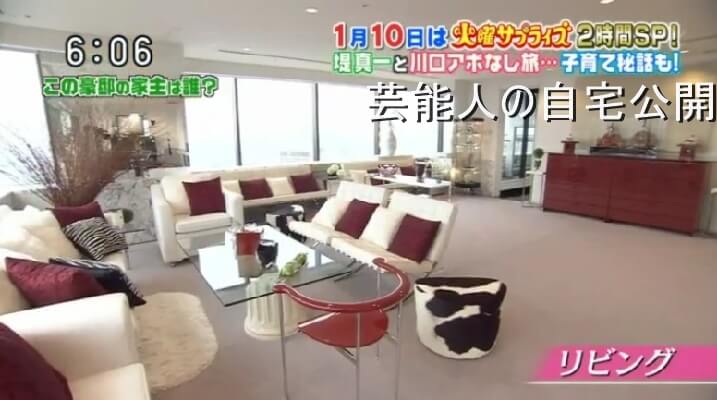 【外国人タレントの自宅】デーブ・スペクターさんのセレブ自宅【画像あり】