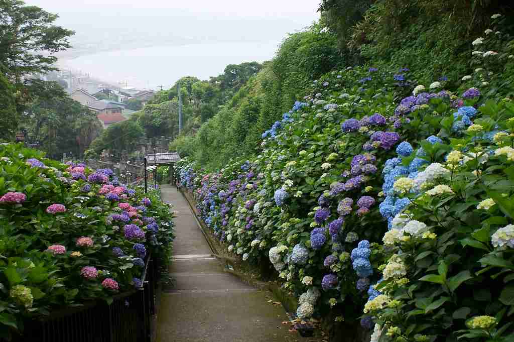 一人旅行くならどこがいい?