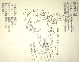 好きな人が失恋して傷心してたら、どうしますか？