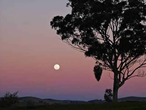Cry for the moon: T-Square - YouTube