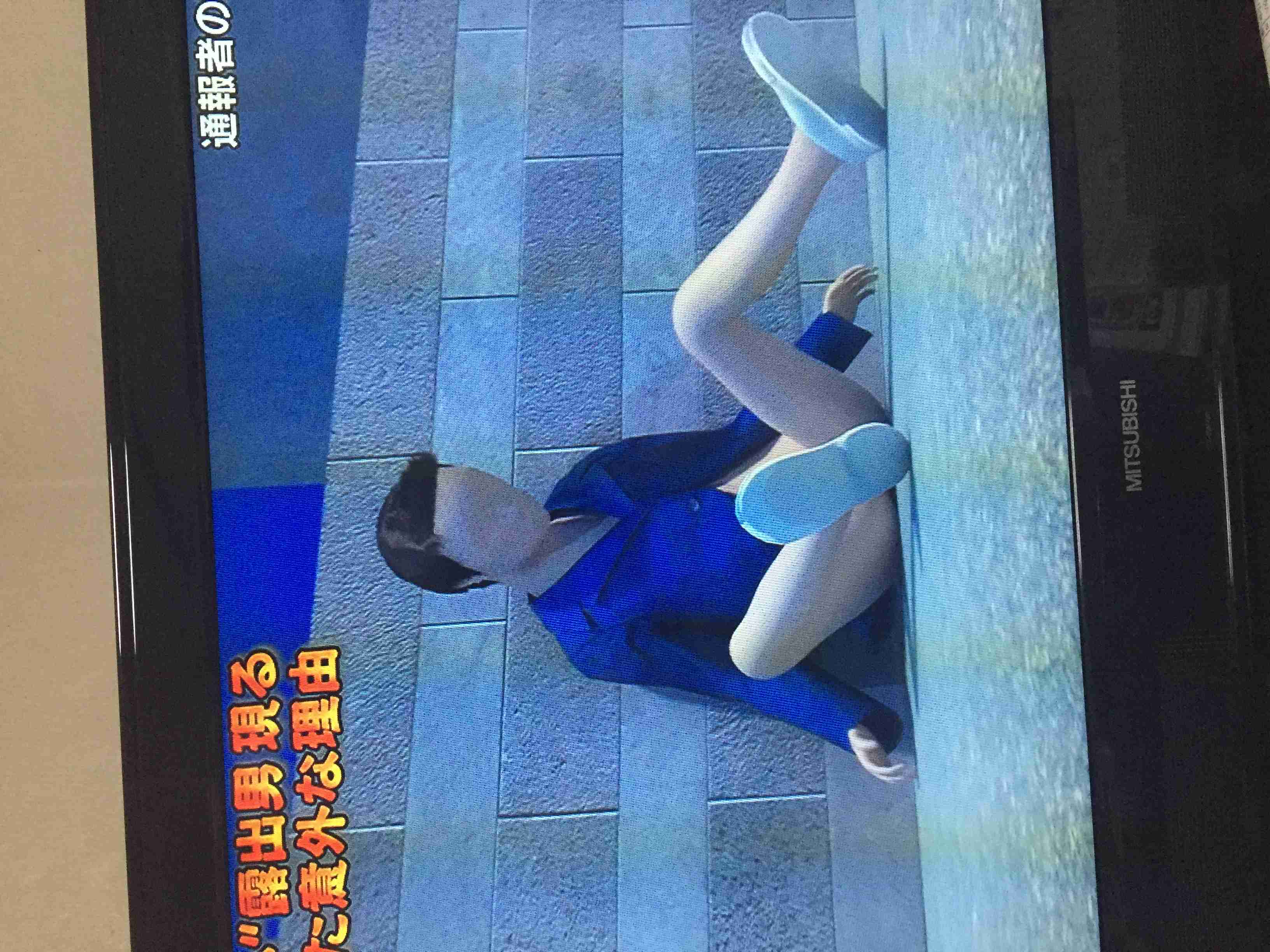 【実況・感想】列島警察捜査網 THE追跡〜2017春の事件簿〜