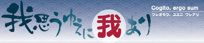 寝るときどうしてる？【布団orベッド】