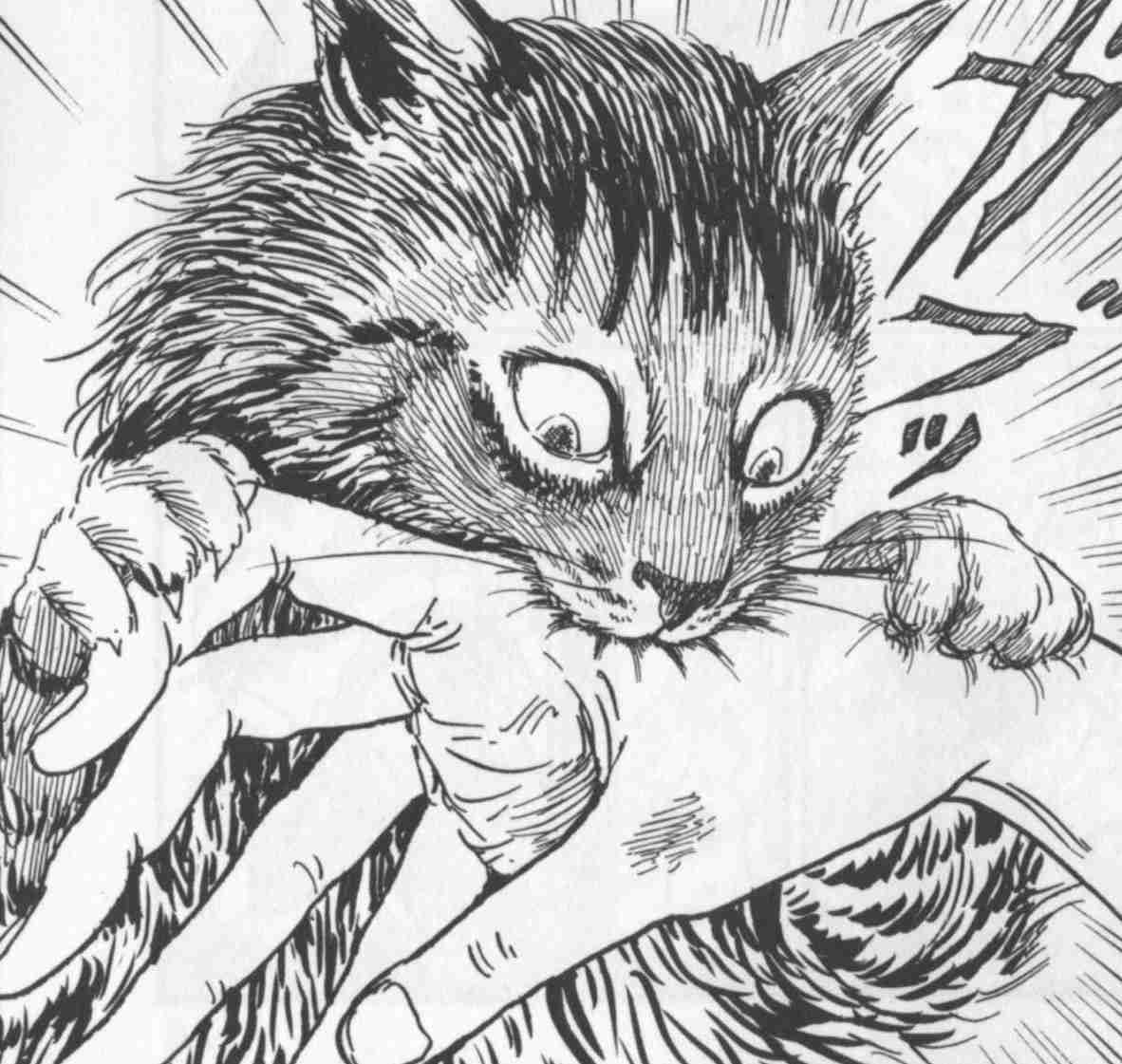 2次元の動物キャラを愛でるトピ