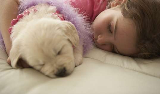  犬や猫の80％がバカンス前に捨てられる。フランスの休暇事情 - Peachy - ライブドアニュース