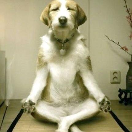 動物画像で時代劇を作るトピ